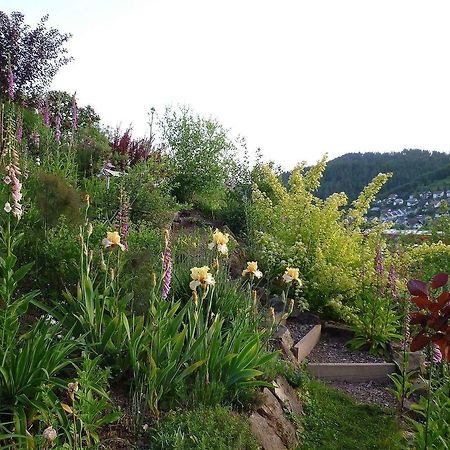 Ferienwohnung Hugelgarten Oppenau Bagian luar foto