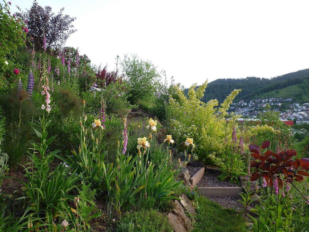 Ferienwohnung Hugelgarten Oppenau Bagian luar foto